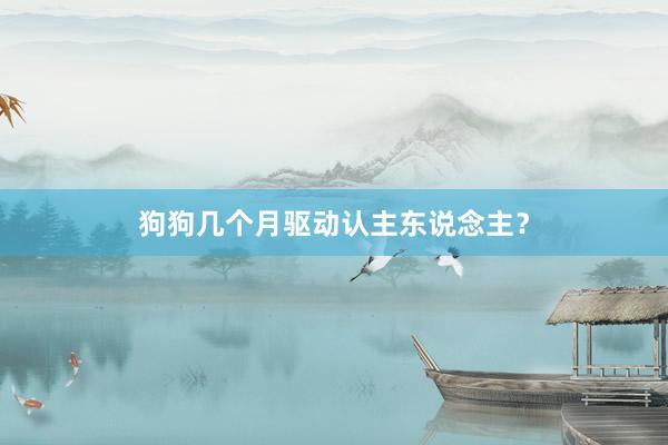 狗狗几个月驱动认主东说念主？